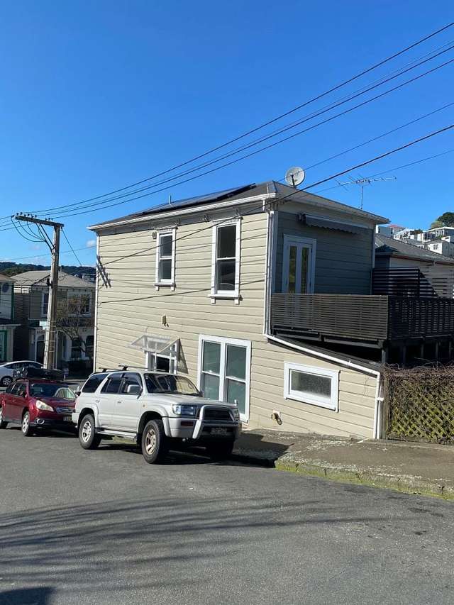 Sunny renovated Aro Valley home
