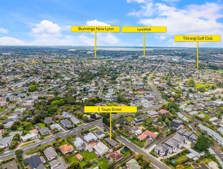 1 Taupo Street Green Bay_15