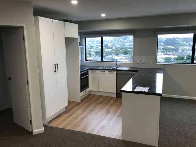 50b Maupuia Road Miramar_2