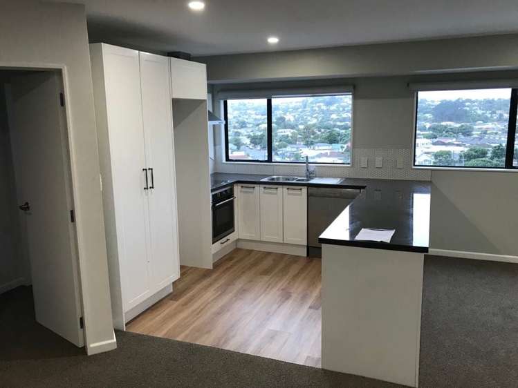 50b Maupuia Road Miramar_2
