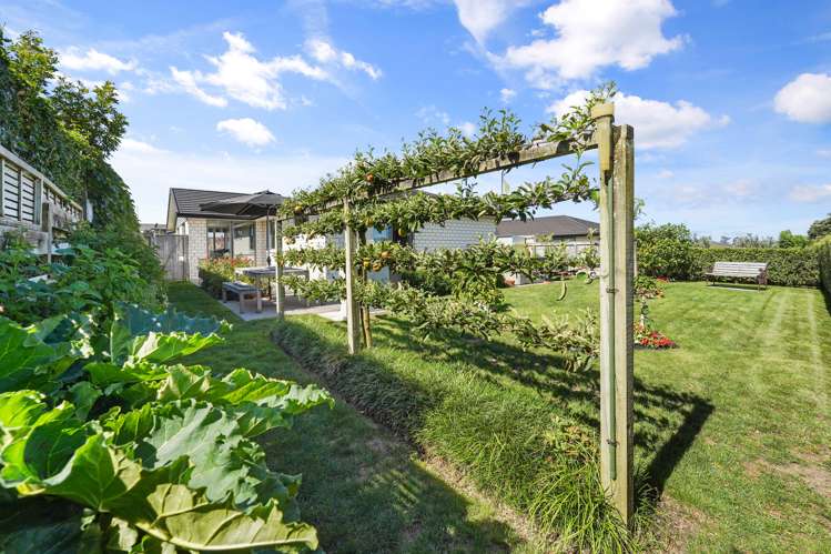 10/4 Greystone Place Omokoroa_23