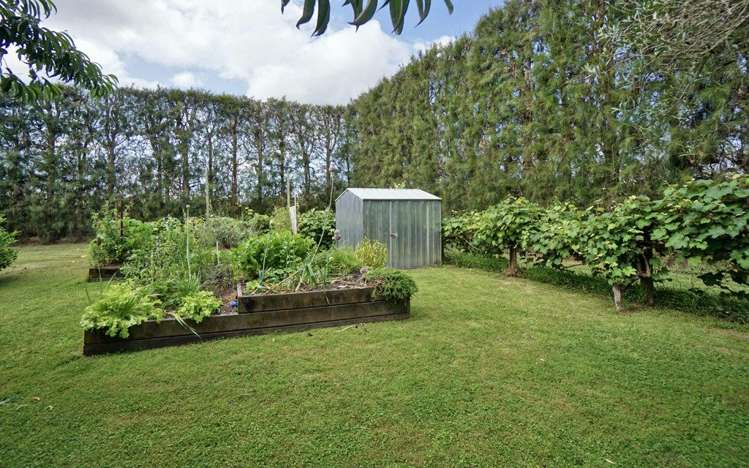 651 Rangiuru Road Te Puke_19