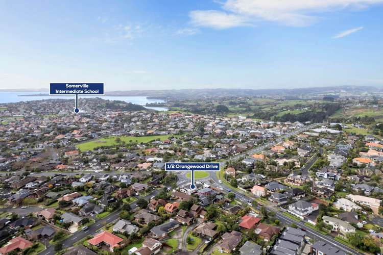 1/2 Orangewood Drive Shamrock Park_27