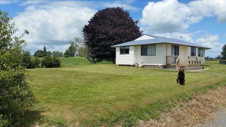851 Hutchinson Road Morrinsville_11
