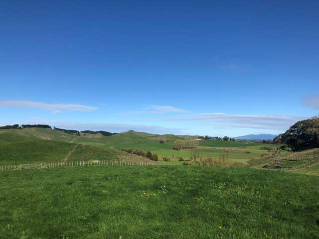 306 Tahuroa Road Tauwhare_1