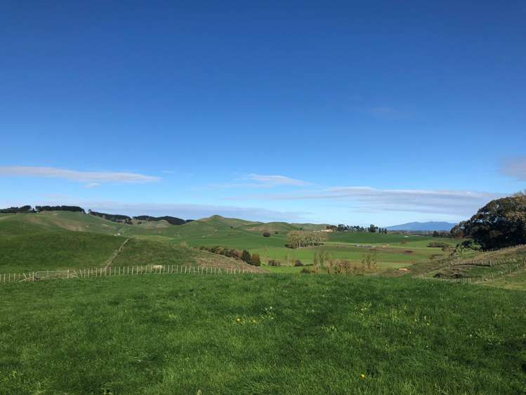 306 Tahuroa Road Tauwhare_1