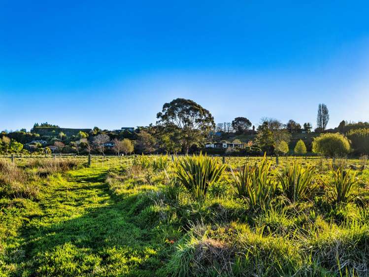 139 Lochhead Road Te Puna_8
