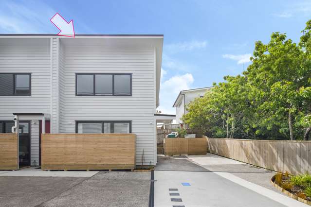 55 Phillip Street Johnsonville_1