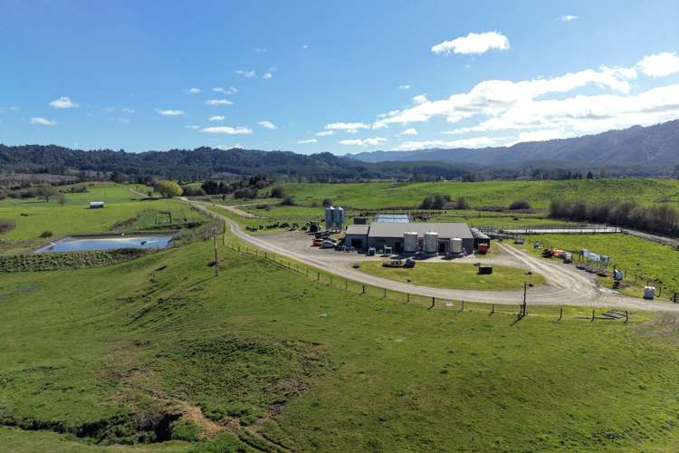 283 Minginui Road Galatea_11