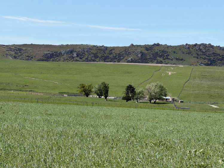 5582 Wedderburn-Becks Road Hills Creek_14