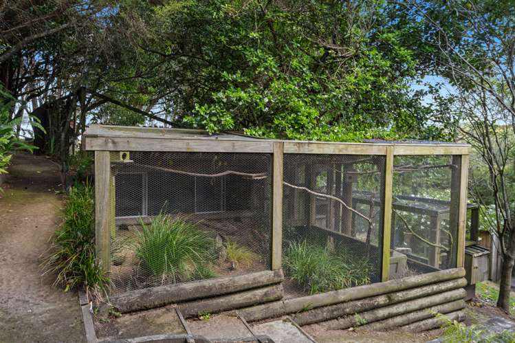 763b White Pine Bush Road Whakatane_16