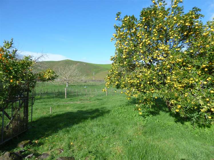 1006 Mangarino Road Hangatiki_30