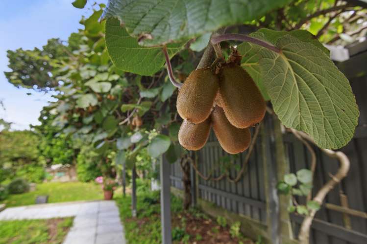 12 Edwin Street Belmont_32