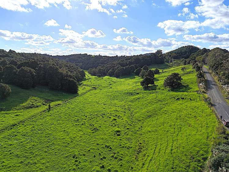 Ounuwhao Road Dargaville Surrounds_10