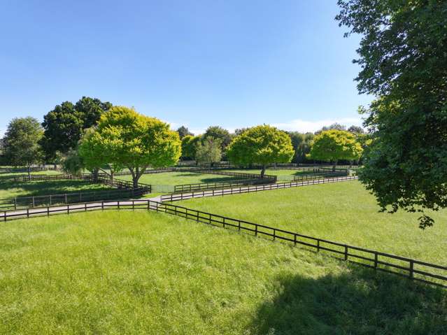 136 Wells Road Okoroire_2