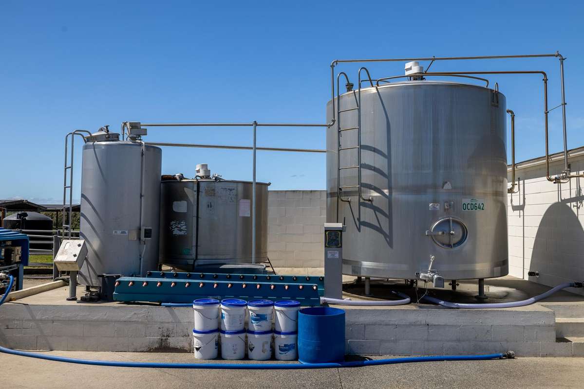 591 / 619 Waiuku-Otaua Road_3