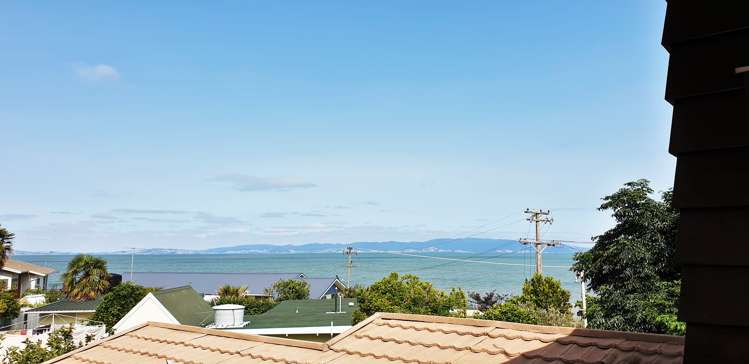 10 Springfield Avenue Ngarimu Bay_16