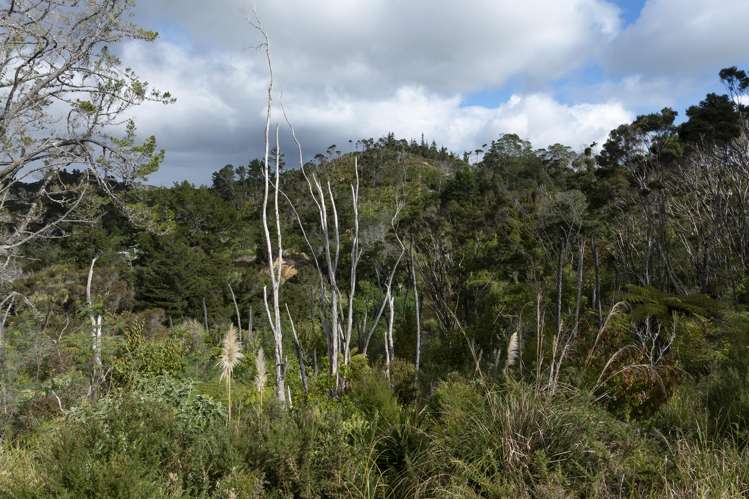 Lot 3 Ota Point Road Whangaroa_18