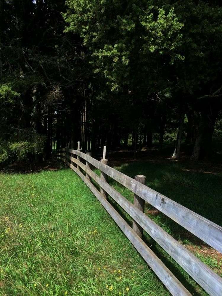 Jounneaux Road Kamo_5