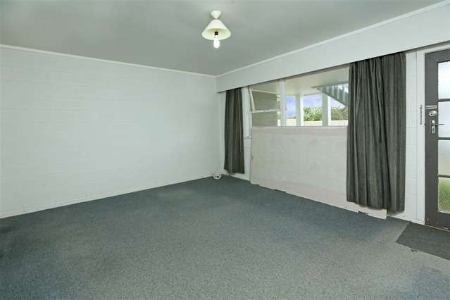 1/2 Ewenson Avenue One Tree Hill_4