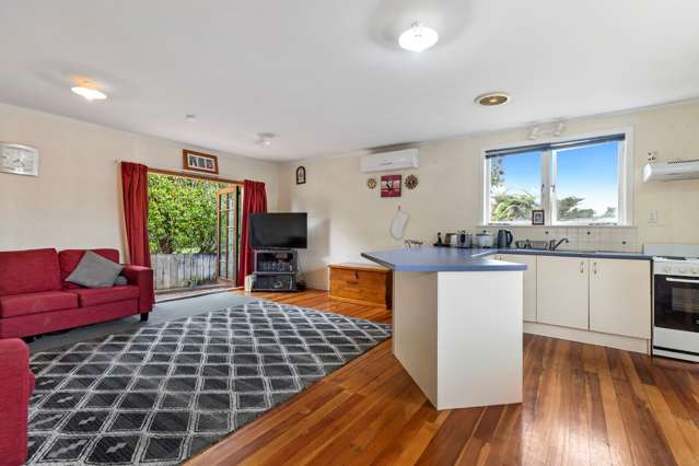 147A Rimu Street Maeroa_3