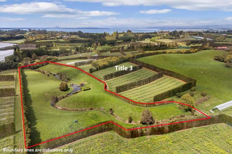22 Noron Place Katikati_35