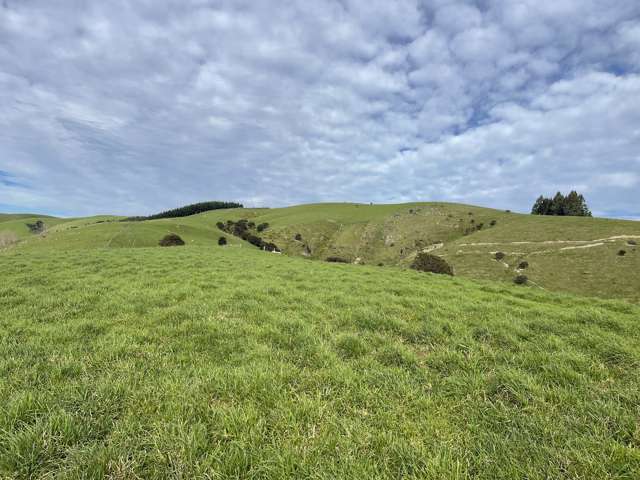 186 Murray Road Lawrence_4