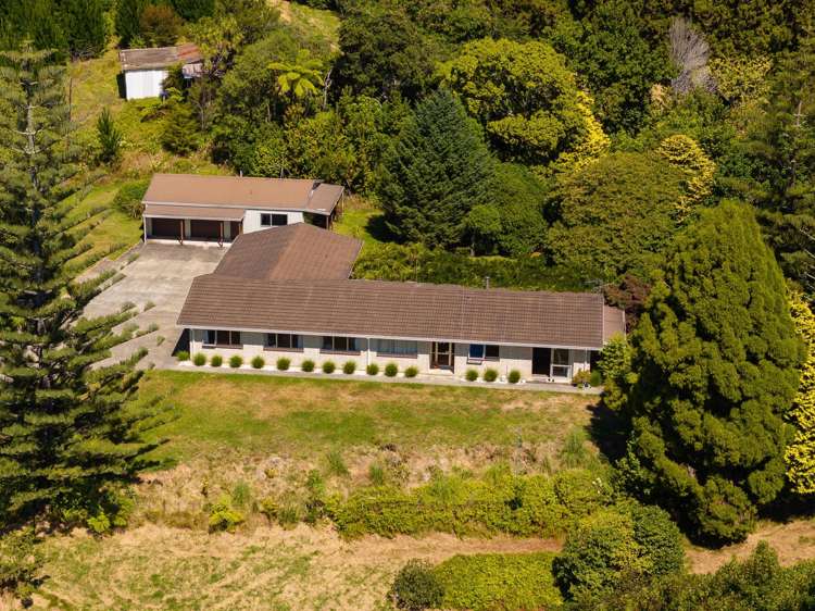 236 Willoughby Road Tahawai_11