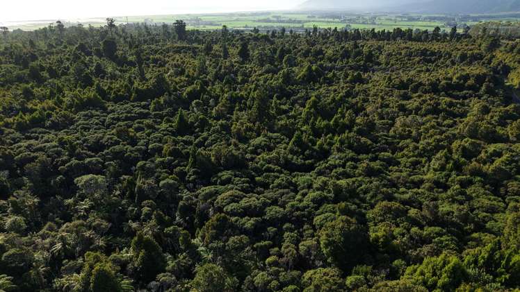 Lot 1 South Terrace Road Karamea_20
