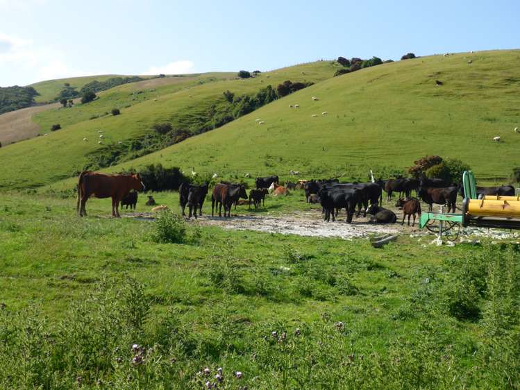 753 Papatowai Highway Owaka_7