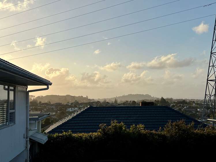 2/2 Olsen Avenue Hillsborough_18