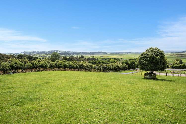 433 Pipiwai Road Ngararatunua_18