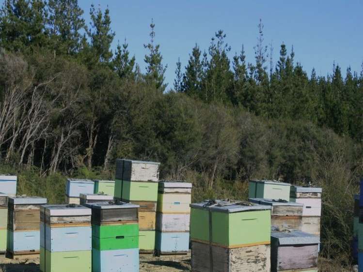 290 Central Road South Upper Moutere_6