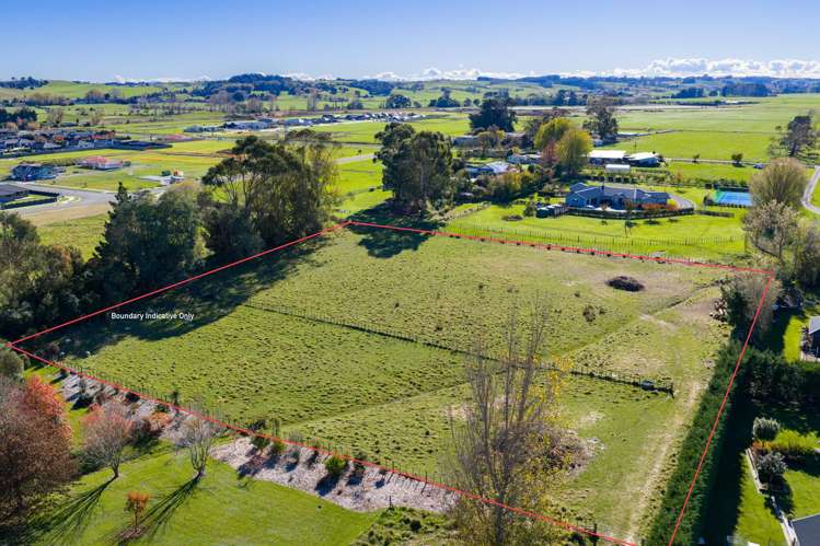 Turoa Street_0