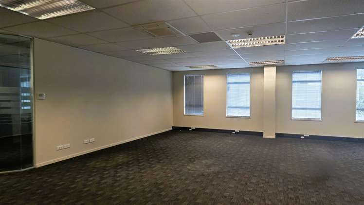 651A Rosebank Road Avondale_4