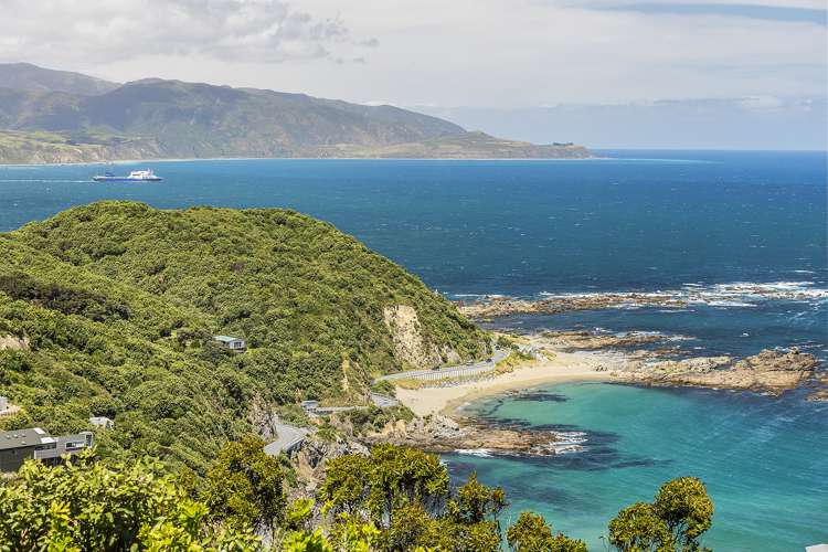 169 Buckley Road Southgate_11