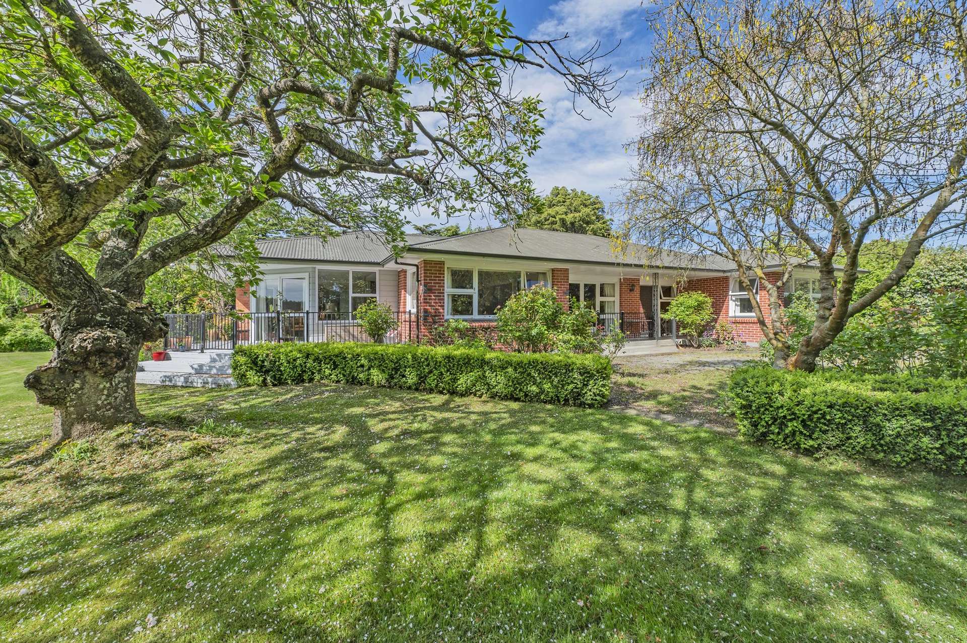 1137 Drain Road Leeston_0