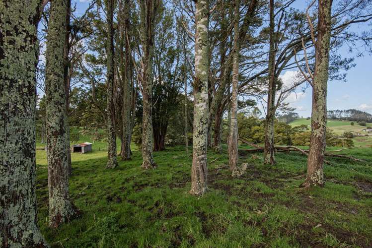 1043 Whananaki North Road Opuawhanga_24