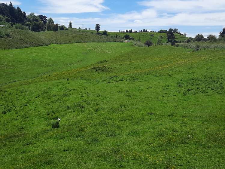 Lot 7, 560 Finnis Road Pohangina_5