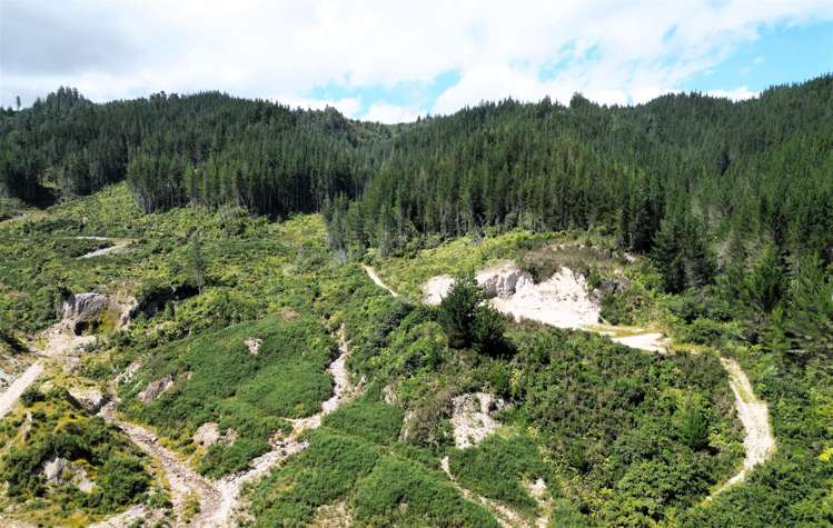 Humphreys Gully Road Hokitika_8