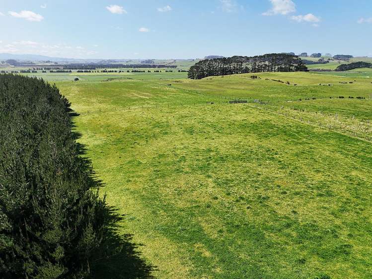 413a Baylys Coast Road Dargaville_19