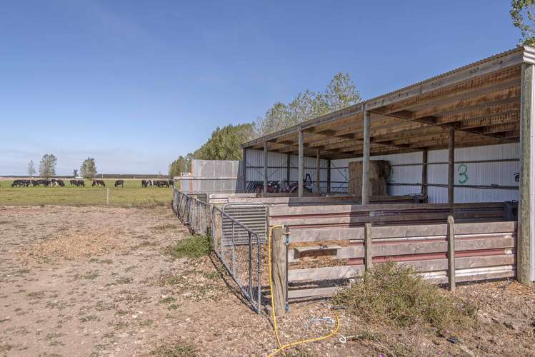 880 Leeston Dunsandel Road Leeston_16