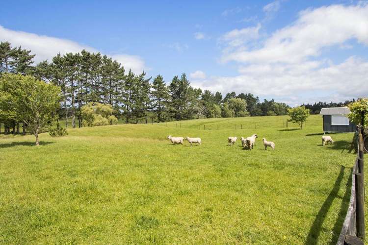 36 Fisher Road Waihi_18