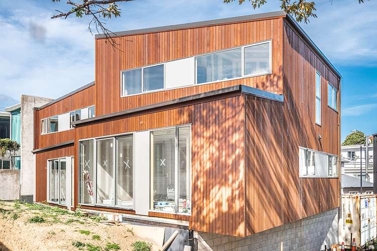 3 Salmont Place Kelburn_0