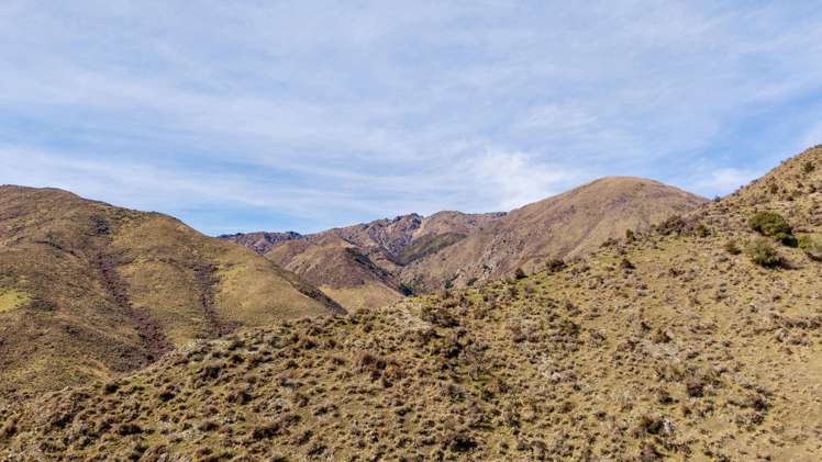 4098 Waihopai Valley Road Waihopai Valley_5