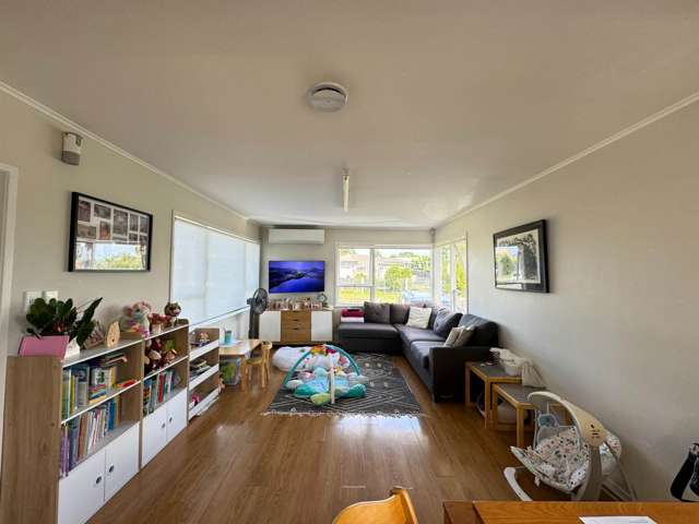 13 Cape Road Mangere_1