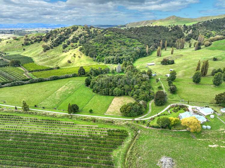 559 Taurau Valley Road Manutuke_27