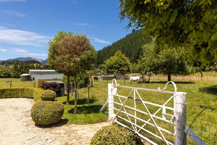 188 Mount Riley Road Havelock_38