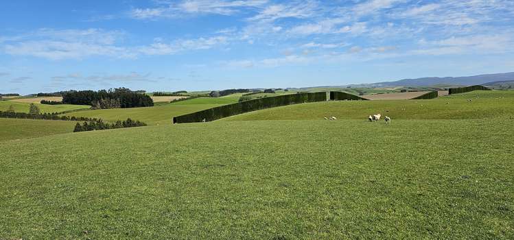 919 Miller Road Clinton and Surrounds_24