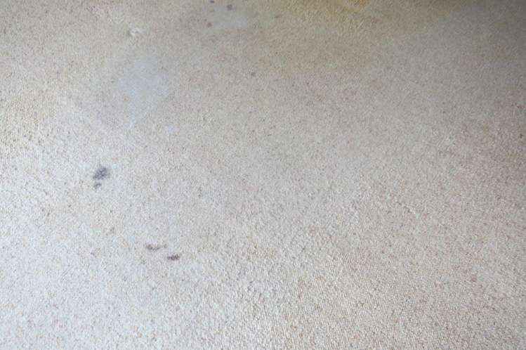 59 Tower Road Matamata_20